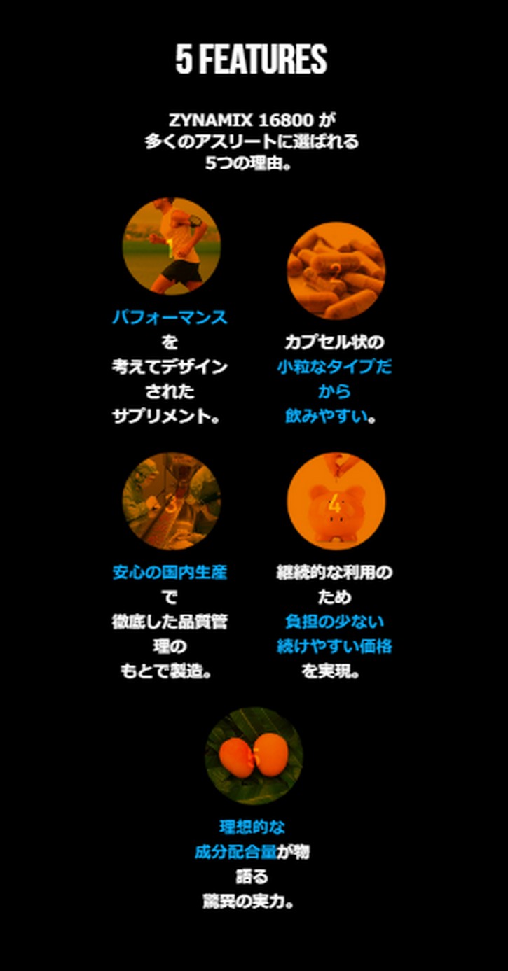 ザイナミックス16800について